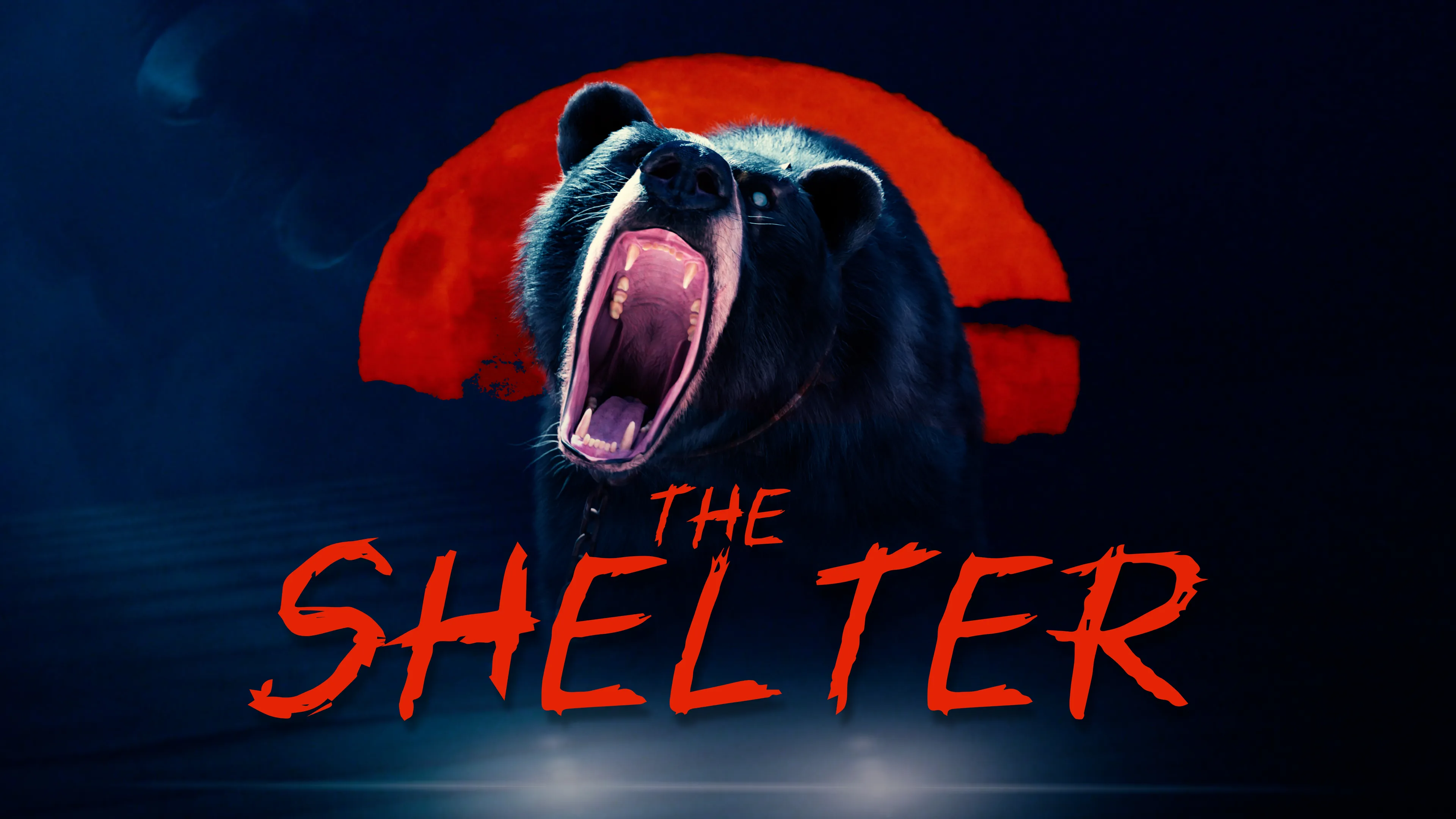The Shelter poster